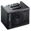 AER Alpha Plus combo akustyczne 50W